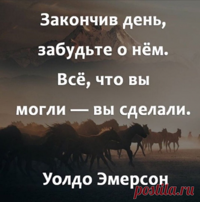 Подборка цитат, которые хочется перечитывать раз за разом📌 | Advance | Яндекс Дзен