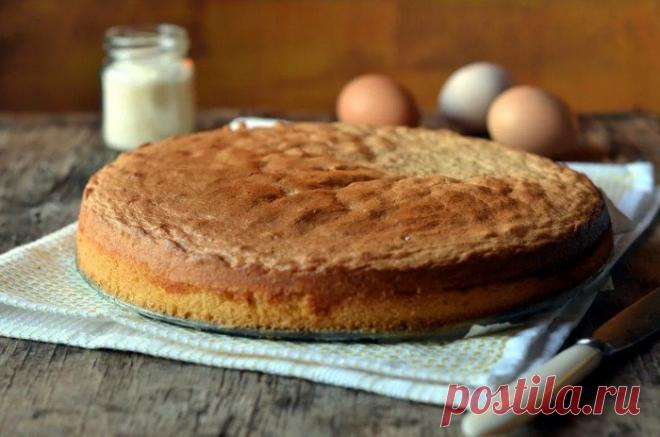 Как легко и правильно испечь бисквит в домашних условиях
