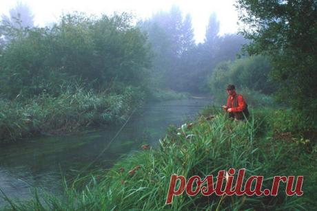 Прикормка для рыбы своими руками: Рецепты прикормки для рыбы