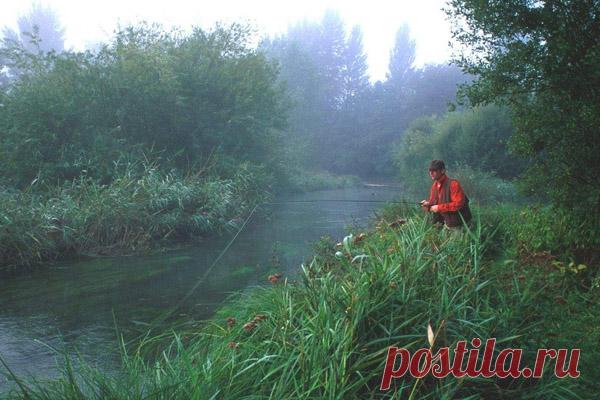 Прикормка для рыбы своими руками: Рецепты прикормки для рыбы