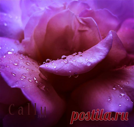 Мой Мир@Mail.Ru