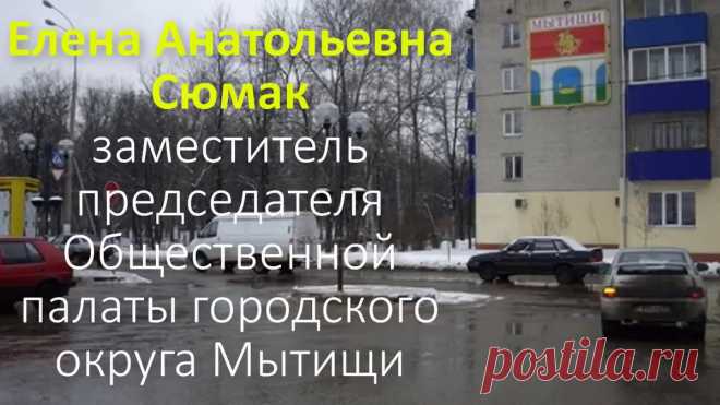 Сюмак Елена Анатольевна, общественная палата городского округа Мытищи
Смотреть полностью