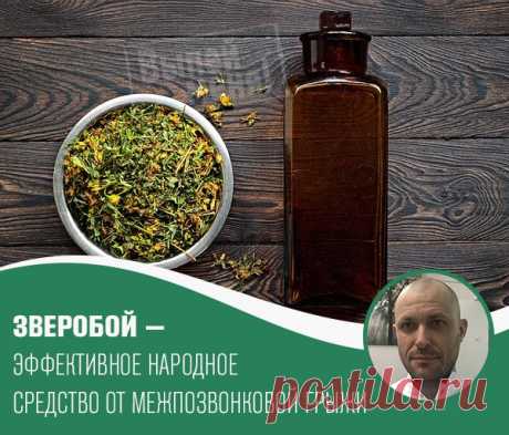 ЗВЕРОБОЙ — ЭФФЕКТИВНОЕ НАРОДНОЕ СРЕДСТВО при межпозвонковой грыже
[лучшие практики прошедших вебинаров]

Зверобой издревле использовался и как средство для лечения разных заболеваний, и как магическая трава. В своём ремесле её использовали не только знахарки и врачеватели, но также чернокнижники и колдуны.

Но нам он интересен, прежде всего, как эффективное средство от болезней.

Эффективность этого растения обусловлена высокой концентрацией эфирных масел, бета-ситостерина...