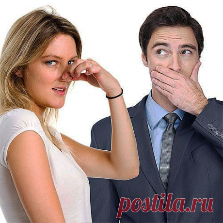 Во рту полк гусар ночевал? / Домоседы