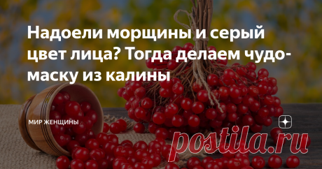 Надоели морщины и серый цвет лица? Тогда делаем чудо-маску из калины «Калина красная, калина». Эх, жаль что нет возможности пропеть. Но эти слова напоминают о невероятно полезной ягоде — калине. Несмотря на свою кажущуюся хрупкость и мягкость на ощупь, яркая красавица переносит даже первые морозы. Она не только не боится их, но становится вкуснее.
Если вы увлекаетесь фотографией, то пучки ягод калины под снегом, украсят ваши произведения. Тем более, что в последнее