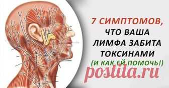 7 симптомов, что ваша лимфа забита токсинами... 
Одна из самых важных вещей для здоровья каждого, — это удаление токсинов из организма. В организме есть много систем, органов и желез, которые несут ответственность за уничтожение токсинов. Но, многи…