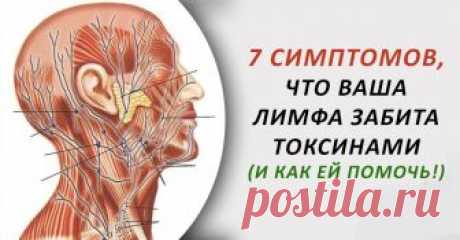 7 симптомов, что ваша лимфа забита токсинами... 
Одна из самых важных вещей для здоровья каждого, — это удаление токсинов из организма. В организме есть много систем, органов и желез, которые несут ответственность за уничтожение токсинов. Но, многи…