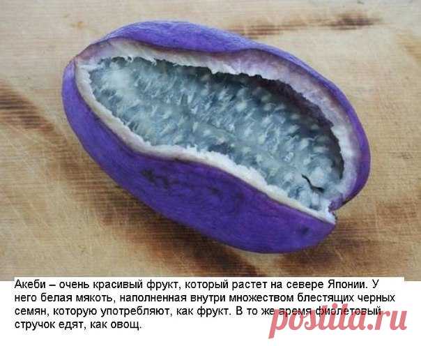 10 экзотических фруктов со всего света, о которых вы не слышали