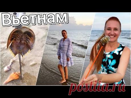 Ловим ФУГУ и морских раков Красота и монстры океана Отдых на пляже Вьетнам влог Люда Изи Кук Vietnam