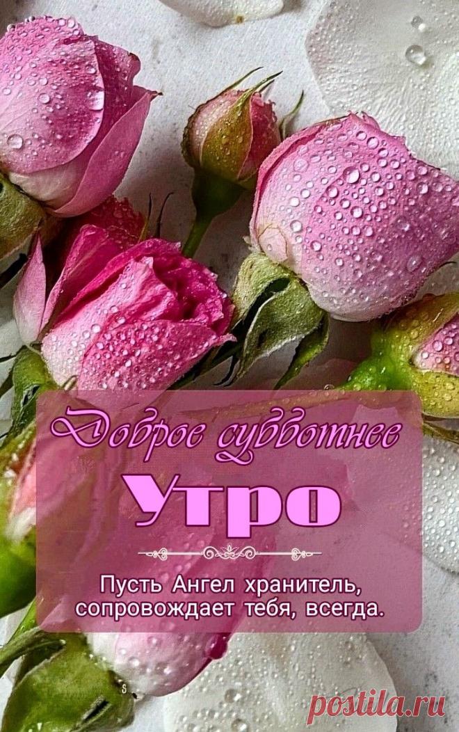 С добрым утром Привет Здрасте Добрый день