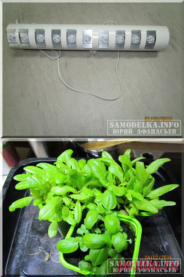 Сделай сам: светодиодная лампа для растений