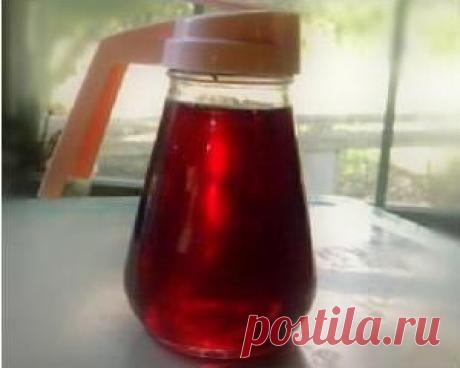 Рецепты сиропов из фруктов и трав