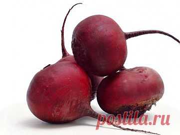 Свекольная диета. Свекла поможет сбросить лишний вес. | Книга Здоровья