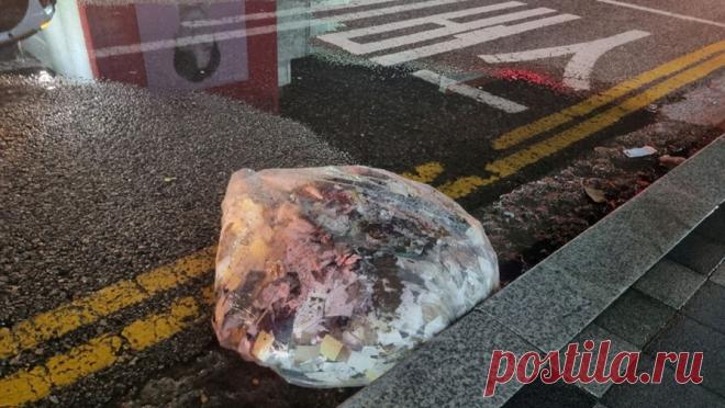 КНДР запустила в сторону Южной Кореи шары. Северная Корея снова запустила воздушные шары, предположительно с мусором, на территорию Южной Кореи. Об этом сообщает ABC News. Подробности о количестве и размерах запущенных объектов не приводятся. До этого шар с мусором из КНДР упал ...