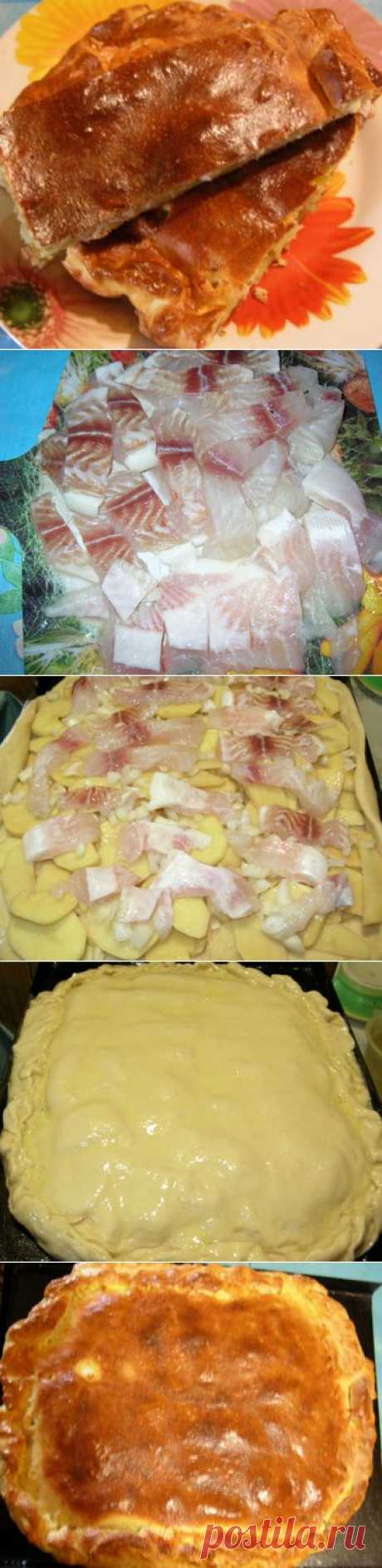 Полезный продукт — пирог с рыбой | УСПЕХ с NEWAYS