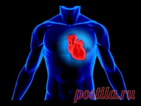 Программа для нормализации работы сердца и СС системы