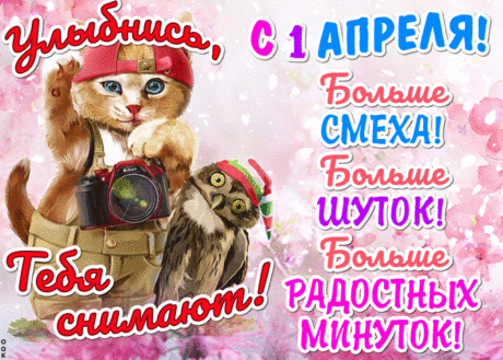 Поздравляем с днем смешным И желаем много смеха, А еще вам процветать И во всех делах успеха!