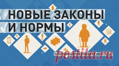 Увеличение пенсий и соцвыплат, новые тарифы СБП: что изменится в ноябре 2024 года. В ноябре 2024 года граждане старше 80 лет получат надбавку к пенсии размером более 8000 рублей. Также вырастут дополнительные выплаты для работников гражданской авиации из лётных экипажей и сотрудников угольной отрасли, отработавших необходимый стаж. С 1 ноября российские банки не смогут взимать комиссию за переводы граждан через СБП в адрес государства — при уплате налогов и штрафов, оплате детских кружков,…
