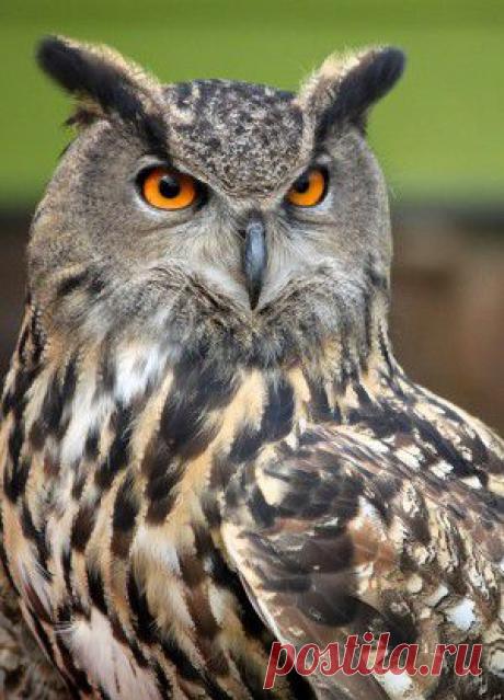 ТАИНСТВО ПОКАЯНИЯ.