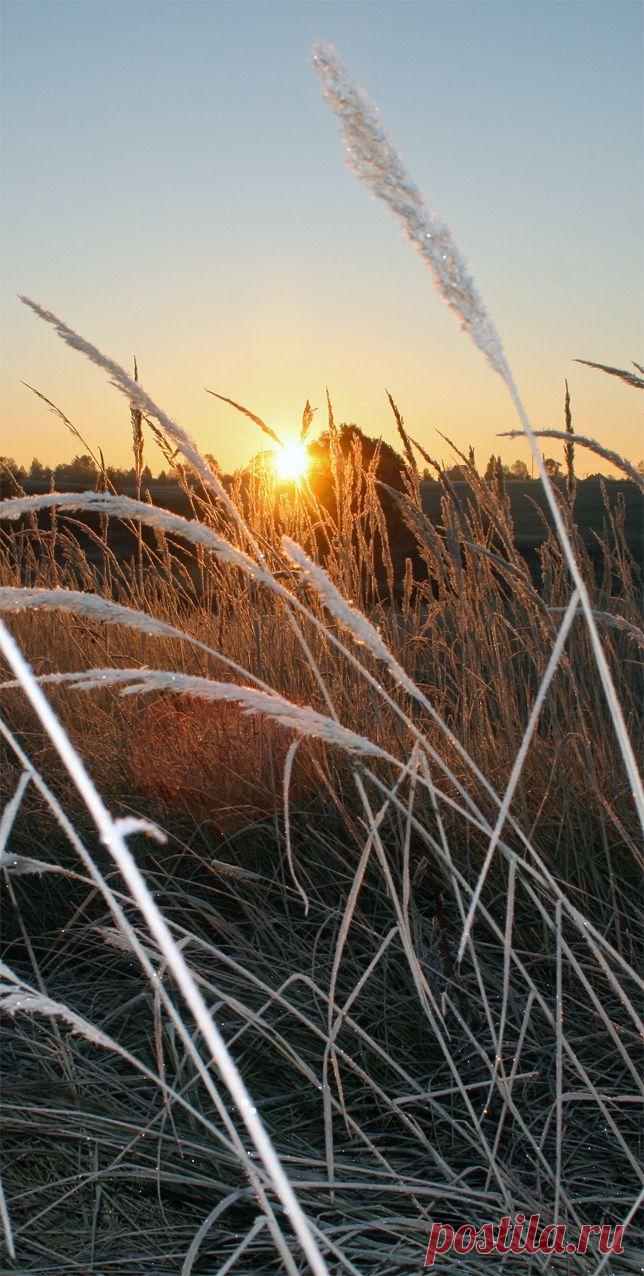 Тверская обл., октябрь 2010 г.