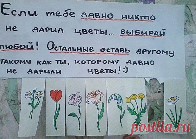 18 объявлений, мимо которых невозможно пройти