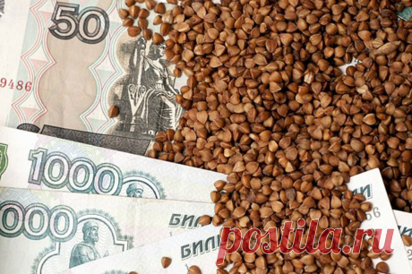Как я прожил месяц на 1.000 рублей в России. Чем я питался и что стало с моим организмом. Мой эксперимент | Советы по дому
