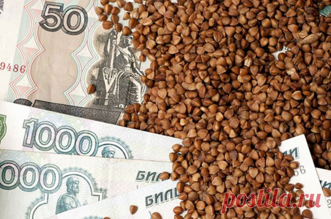 Как я прожил месяц на 1.000 рублей в России. Чем я питался и что стало с моим организмом. Мой эксперимент | Советы по дому