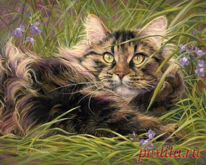 Кошки канадской художницы Lucie Bilodeau