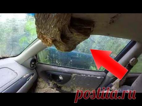 15 Вещей, Которые Вы Увидите Впервые в Жизни