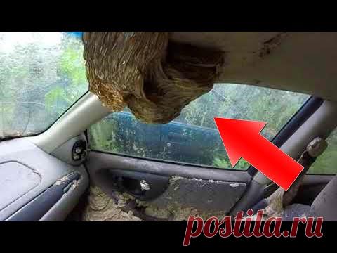 15 Вещей, Которые Вы Увидите Впервые в Жизни