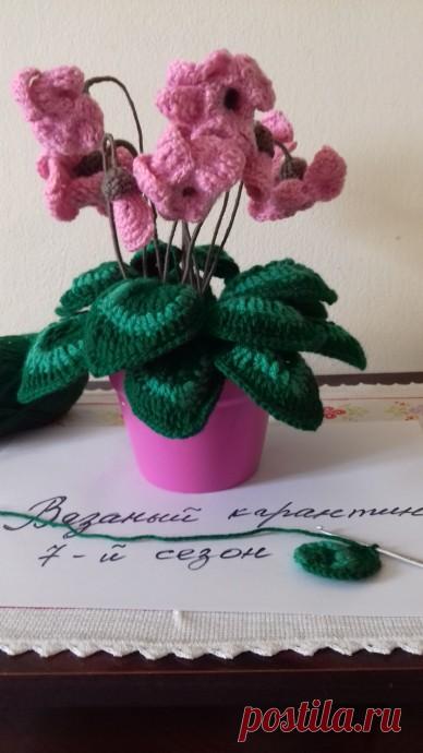 Зимний цветок  "Цикламен" (связанный крючком)