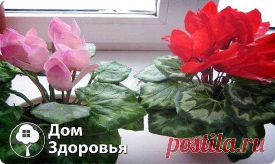Одноклассники