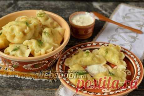 Вареники с картофелем, белыми грибами и укропом.