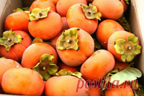 Топ-5 продуктов декабря.