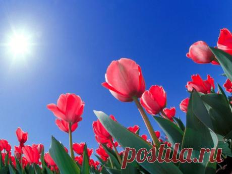 Новые фотографии природа обои.