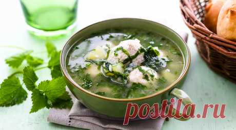 Суп из крапивы с фрикадельками - Образованная Сова