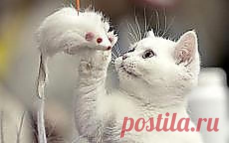 Ну что,добегалась?