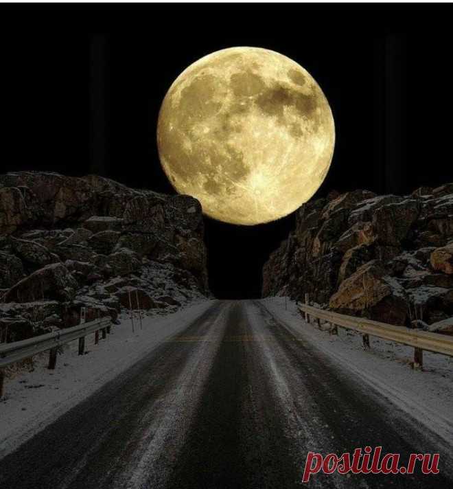 Օգնի՜ր ինձ գիշեր....
Ինչպես վարվեմ քեզ հետ, որ չկորցնեմ, Դո՛ւ իմ կործանիչ ու իմ փրկարար, Ուշացած հեքիաթ իմ անվերնագիր, Դո՛ւ անդավաճան իմ ճակատագիր: Կոտրված սրտիս, հոգնած կոպերիս դու իմ լավ երազ,Ինչ անեմ ես քեզ, Աչքերս փակում եմ ու քո կարոտից աշխարհն է մթնում, Դատարկություն եմ զգում, անվերջանալի ու սառը դատարկություն, Սուր, ցավող, կտրող մենություն, որ խեղդում է կոկորդս, Օգնի՜ր ինձ գիշեր` ամբողջանալու: Լսու՞մ ես դու ինձ, քո մեջ են ծնվում իմ երազները, Օգնի՜ր , որ ես հավաքեմ բոլոր իմ անուրջները,