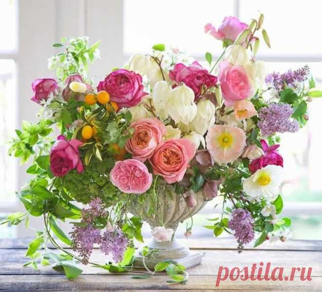 SHOUT it from the house - Google+