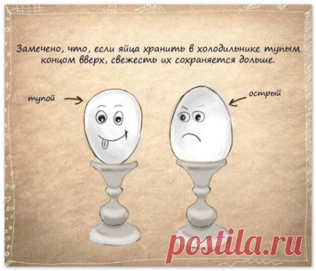 Полезные советы