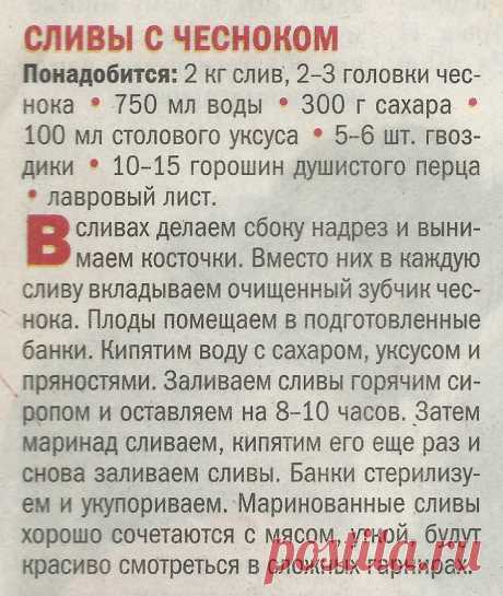 Маринованные сливы с чесноком