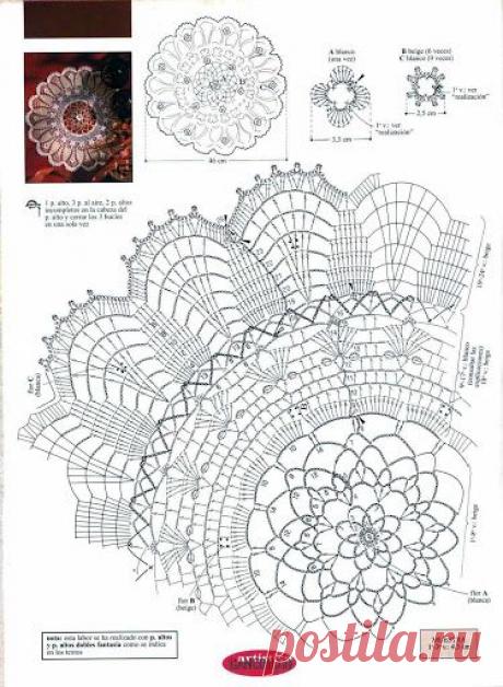 Carpetas - Flavia Luggren - Веб-альбомы Picasa