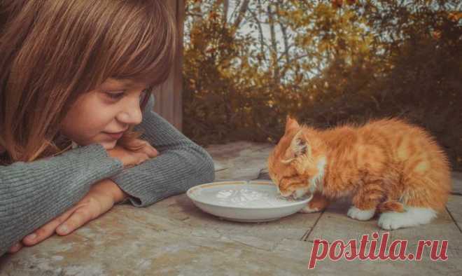 10 простых, но забытых истин о счастье