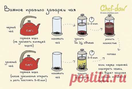 Важное правило заварки чая