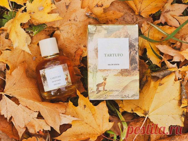 Купила за 500 рублей, а пахнет как известный аромат за 16000 руб: первый российский парфюм, который меня сильно восхитил | ПолезНЯШКА | Дзен