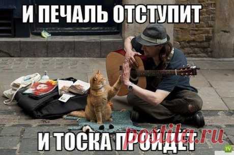 Смех продлевает жизнь, так смейтесь же, на здоровье :))) – ♥ღ♥ Откровенный разговор ♥ღ♥ , пользователь Ирина * | Группы Мой Мир