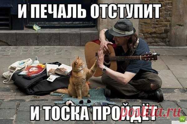 Смех продлевает жизнь, так смейтесь же, на здоровье :))) – ♥ღ♥ Откровенный разговор ♥ღ♥ , пользователь Ирина * | Группы Мой Мир