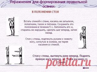 Упражнения для красивой осанки и против болей в спине
Результата добьетесь при регулярных тренировках.