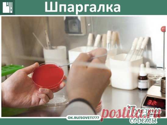 Шпаргалка
Никогда не давать антибиотик ДО того как на руки не получите анализ крови с лейкоформулой. 
Запомните, напишите себе где то на видном месте!!! 
ПОВЫШЕНИЕ лейкоцитов, СОЭ, лимфоцитов - ВИРУС 
ПОВЫШЕНИЕ лейкоцитов, СОЭ, нейтрофилов сегметоядерных и палочкоядерных + СНИЖЕНИЕ лимфоцитов - БАКТЕРИЯ 
без повышения нейтрофилов бактериальной инфекции НЕ БЫВАЕТ. Запомните это. Если вам сделали анализ без лейкоформулы, но вы видите, что лейкоцитов, к примеру, 15,4, а лимфоцитов 15-20, то уже с б