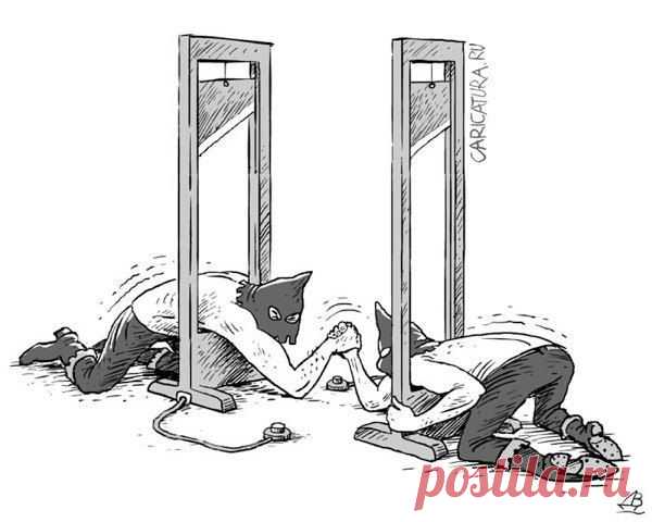 Интересные новости